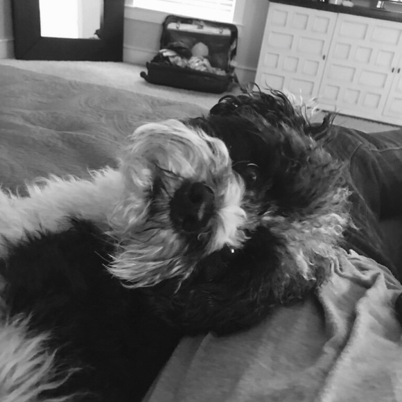 Meet your Posher, Kellie - Picture 1 of 1